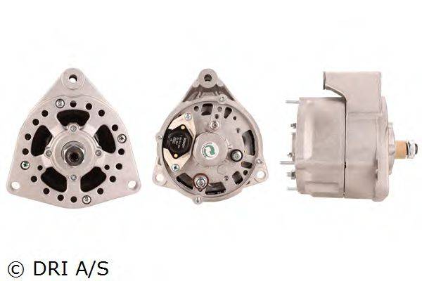 DRI 525101304