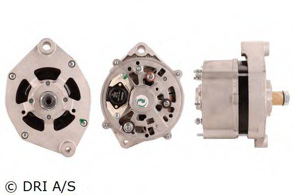 DRI 238123554