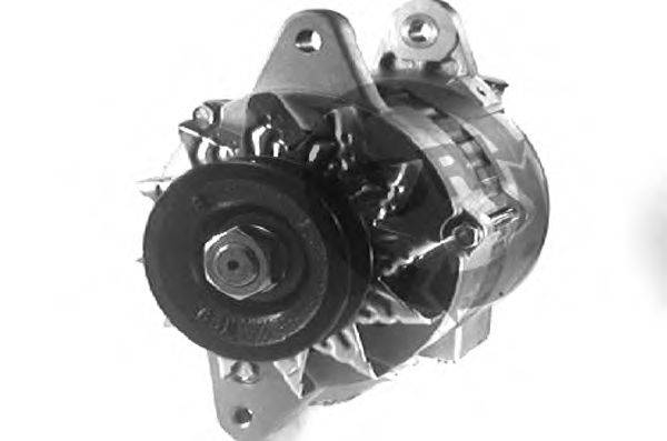 DRI 500159304
