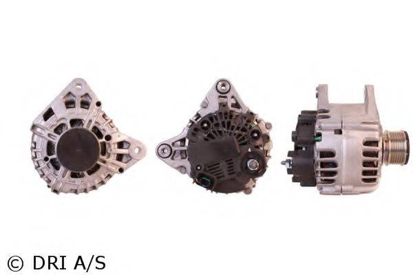 DRI 2303371202