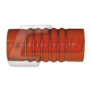 CASALS 33243