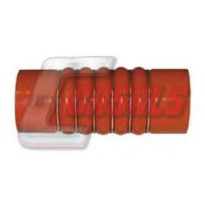 CASALS 33245
