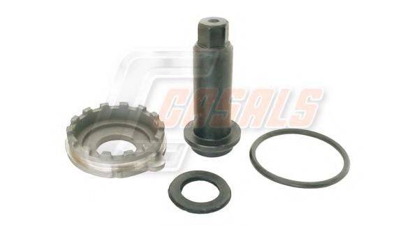 CASALS 276096