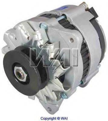 WAIGLOBAL 12072N-1G