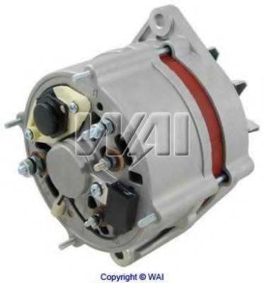 WAIGLOBAL 12167N