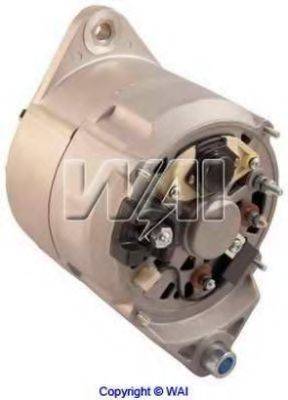 WAIGLOBAL 12596N