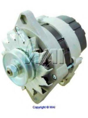 WAIGLOBAL 13152N