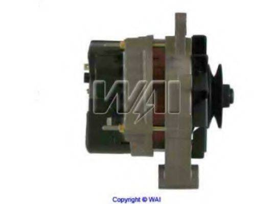 WAIGLOBAL 20426R