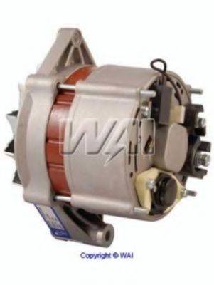 WAIGLOBAL 20819N