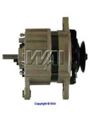 WAIGLOBAL 22393R