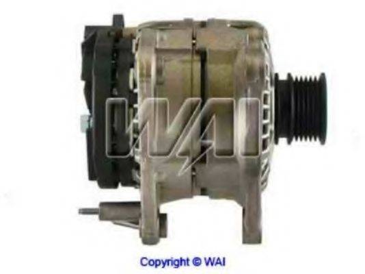 WAIGLOBAL 23204R