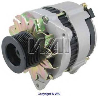 WAIGLOBAL 12428N
