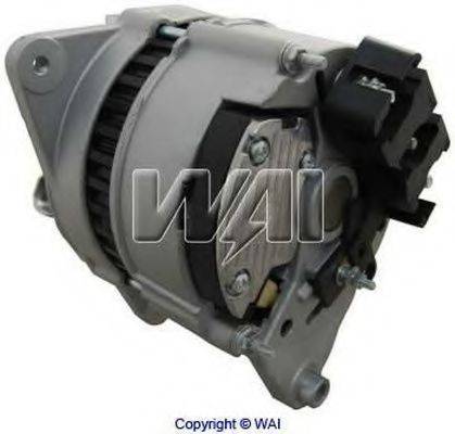 WAIGLOBAL 12429N
