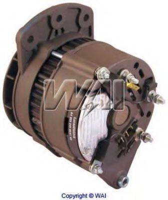 WAIGLOBAL 12719N-OE