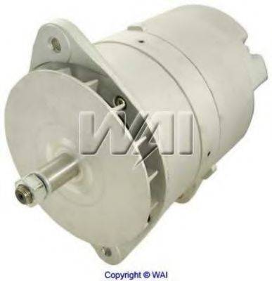 WAIGLOBAL 12165N