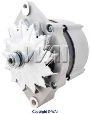 WAIGLOBAL 12587N