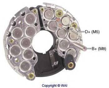 WAIGLOBAL IBR331
