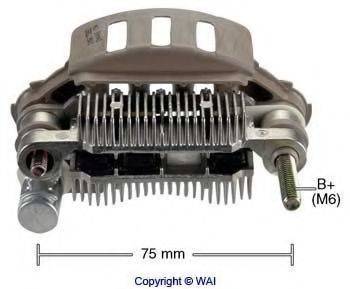 WAIGLOBAL IMR7582