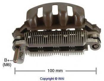 WAIGLOBAL IYR10038