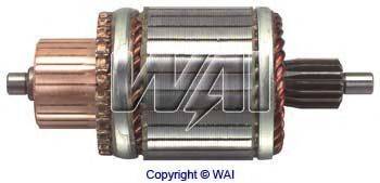WAIGLOBAL 61-145-1