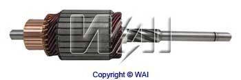 WAIGLOBAL 61174 Якір, стартер