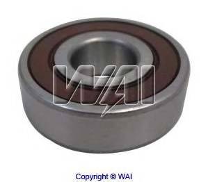 WAIGLOBAL 10-6203-4W