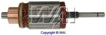 WAIGLOBAL 61200 Якір, стартер