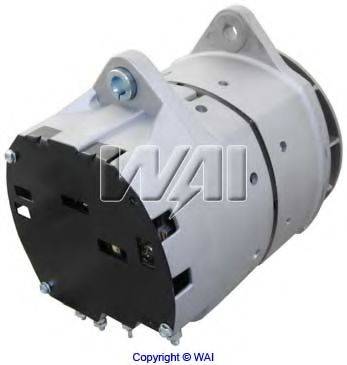 WAIGLOBAL 8613R