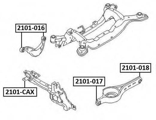 ASVA 2101-016