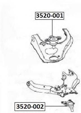 ASVA 3520-002