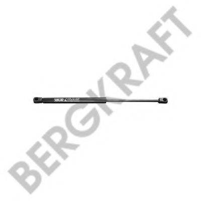 BERGKRAFT BK2938621SP