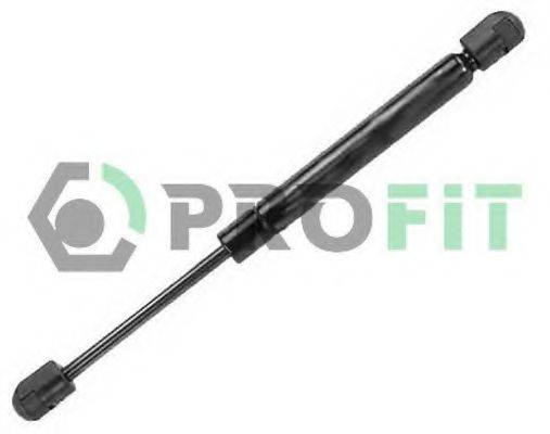 PROFIT 2015-0022