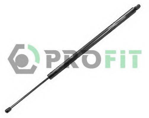 PROFIT 2015-0034