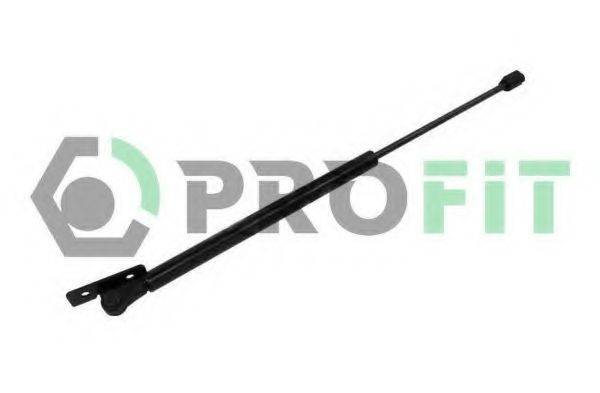 PROFIT 2015-0165