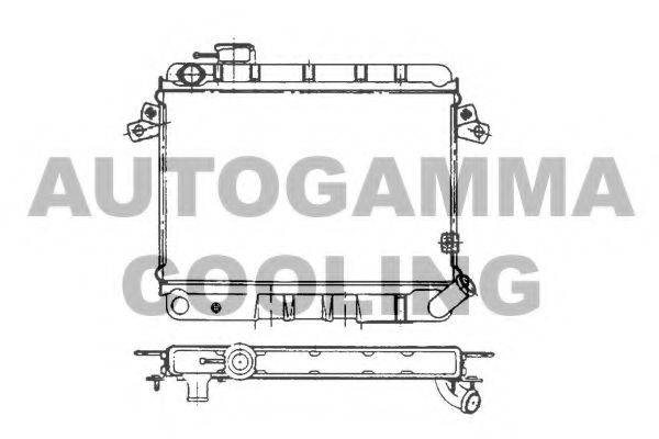 AUTOGAMMA 100254 Радіатор, охолодження двигуна