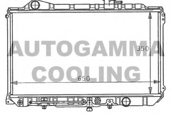 AUTOGAMMA 100504 Радіатор, охолодження двигуна
