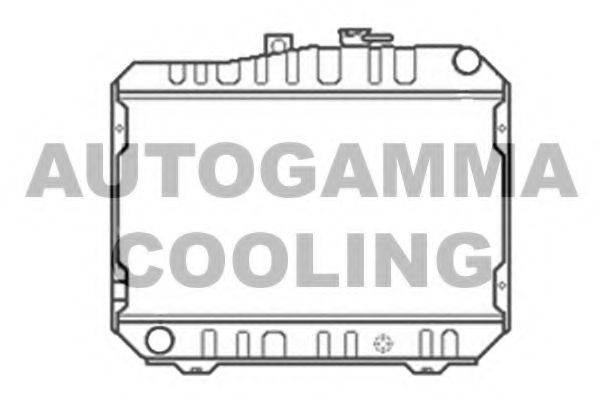AUTOGAMMA 101024 Радіатор, охолодження двигуна