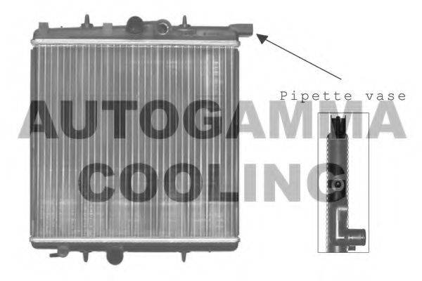 AUTOGAMMA 101231 Радіатор, охолодження двигуна