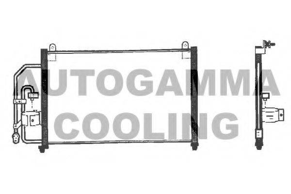 AUTOGAMMA 101611