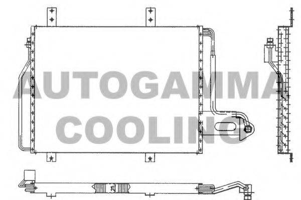 AUTOGAMMA 101799