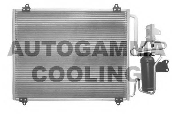 AUTOGAMMA 101813