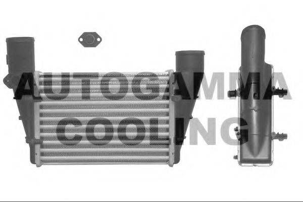 AUTOGAMMA 101858