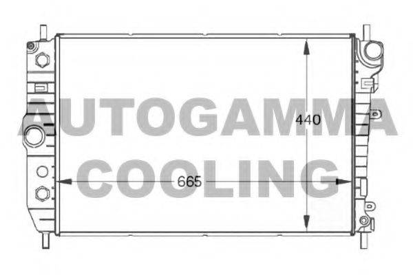 AUTOGAMMA 102129