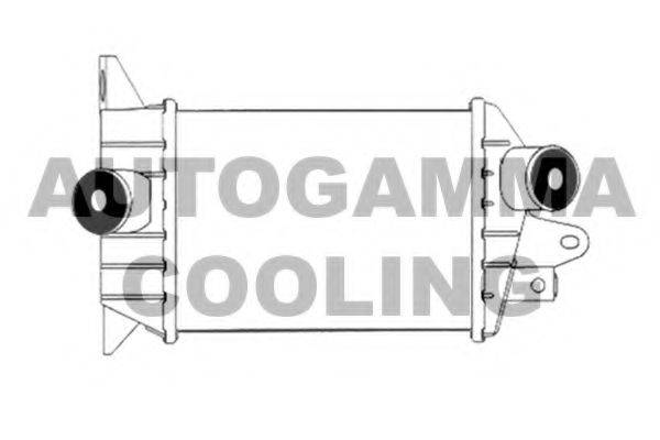 AUTOGAMMA 102404