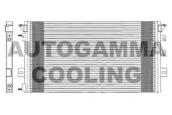 AUTOGAMMA 102623