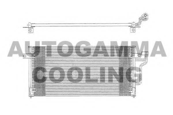 AUTOGAMMA 102711