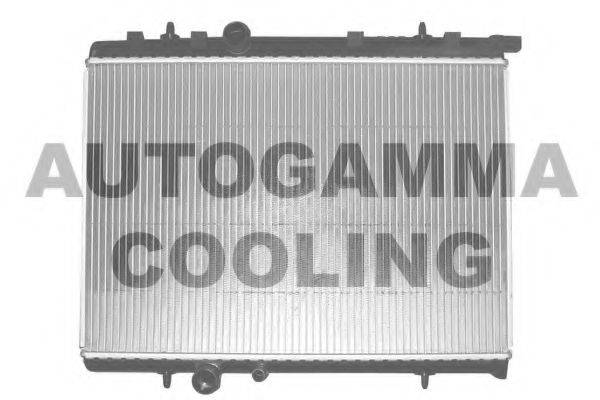 AUTOGAMMA 102876 Радіатор, охолодження двигуна
