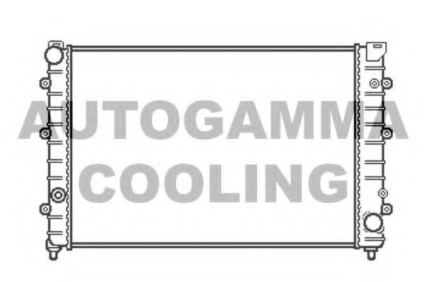 AUTOGAMMA 102892 Радіатор, охолодження двигуна