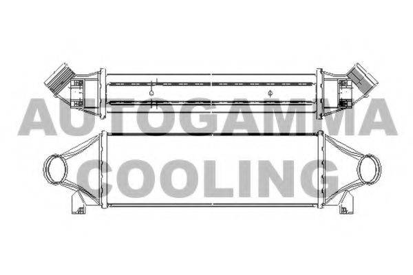 AUTOGAMMA 103098