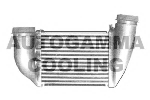 AUTOGAMMA 103884